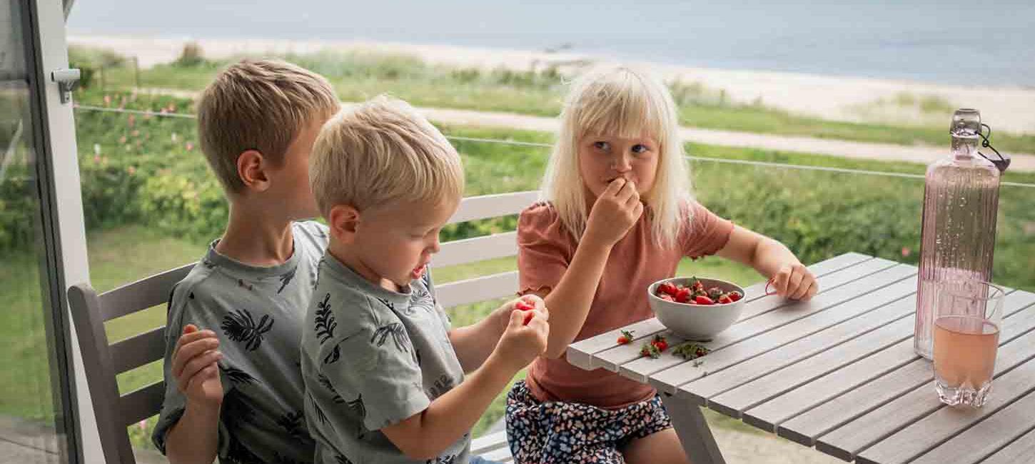 zwei kleine Jungen und ein kleines Mädchen essen Erdbeeren auf dem Balkon eines Ferienhauses