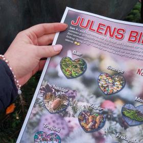 Julens bingoplade til naturoplevelser